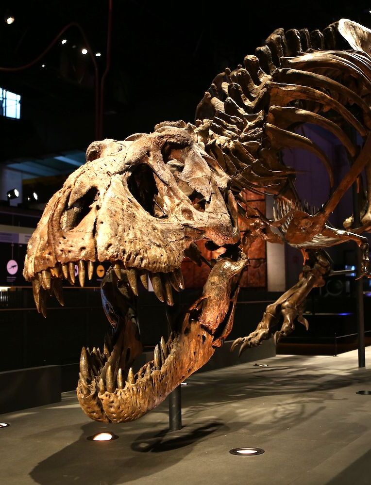 Museo de Ciencias Naturales