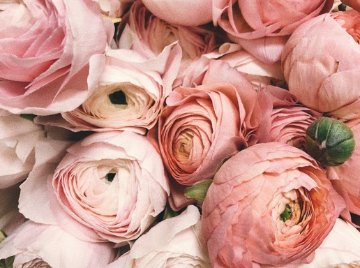 VIU UNS DIES D'AMOR AMB LA TEVA PARELLA